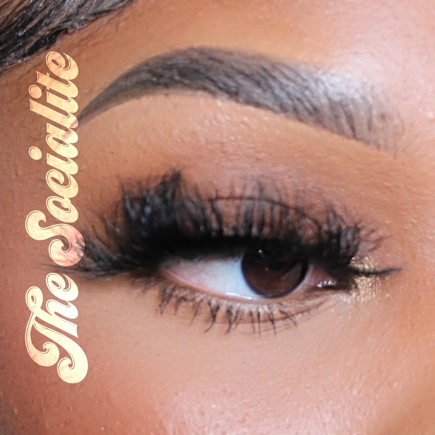 Voluminous Lash — The Socialite